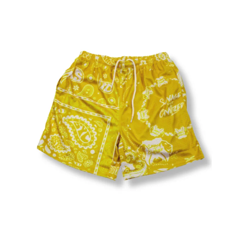 Paisleys Mesh Shorts 